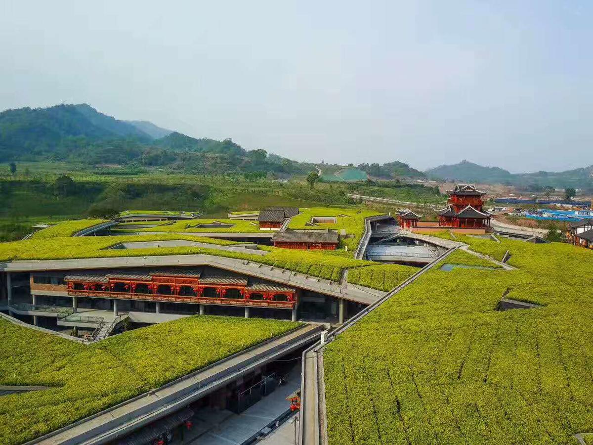 Emeis Van Stars Mountain Lodge Emeishan Exterior foto